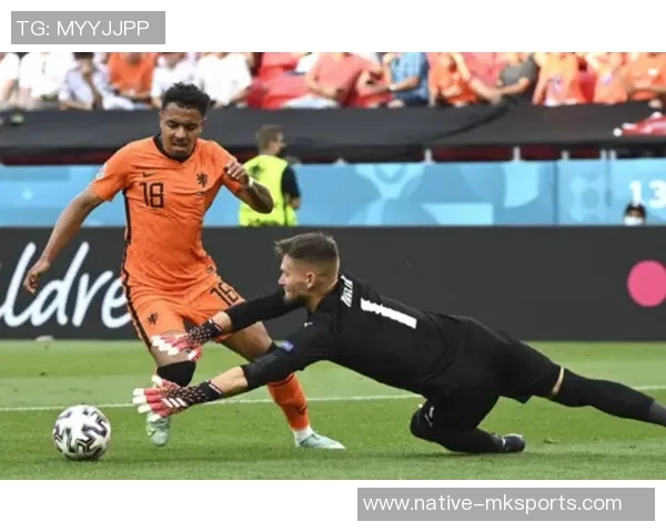 葡萄牙对阵荷兰足彩分析及投注建议全面解读